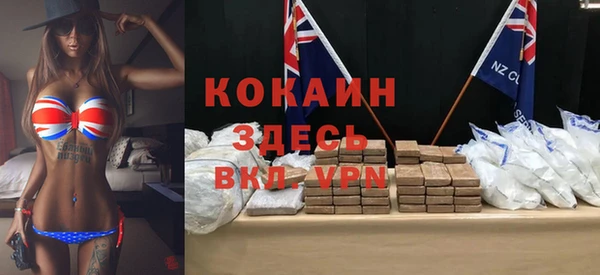 прущие грибы Горно-Алтайск