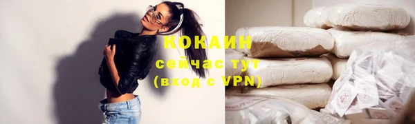 стафф Верхний Тагил