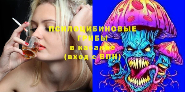 Альфа ПВП Горняк