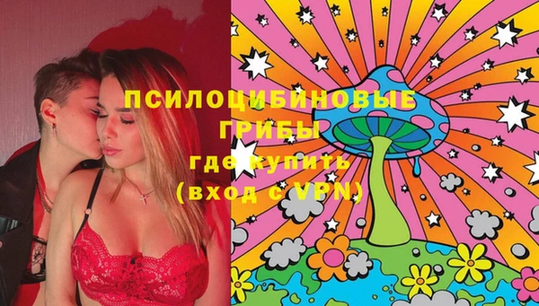 стафф Верхний Тагил