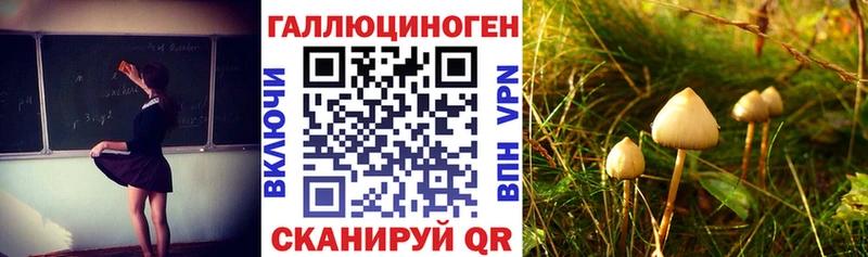 Псилоцибиновые грибы Psilocybe  Остров 